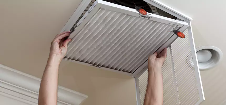 Our Insect Removal from Air Ducts Services in The Crossings, FL