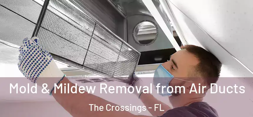  Mold & Mildew Removal from Air Ducts The Crossings - FL