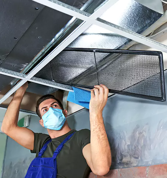About Air Duct Bacteria Removal in The Crossings